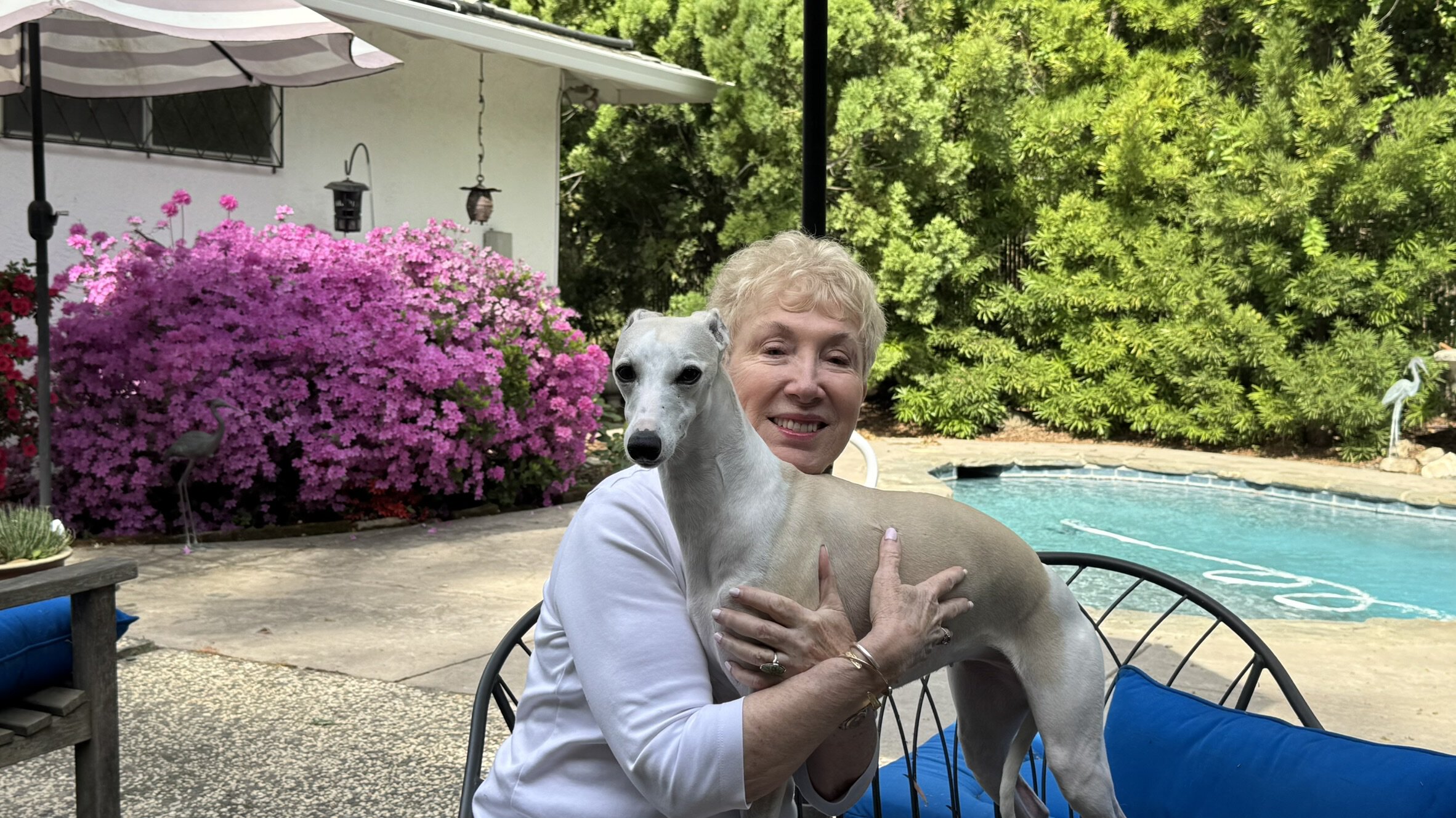 Judy, Sacramento Testimonial