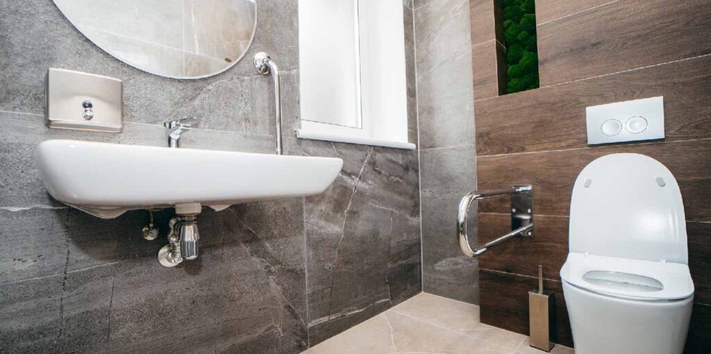 aging in place bathroom grab bars